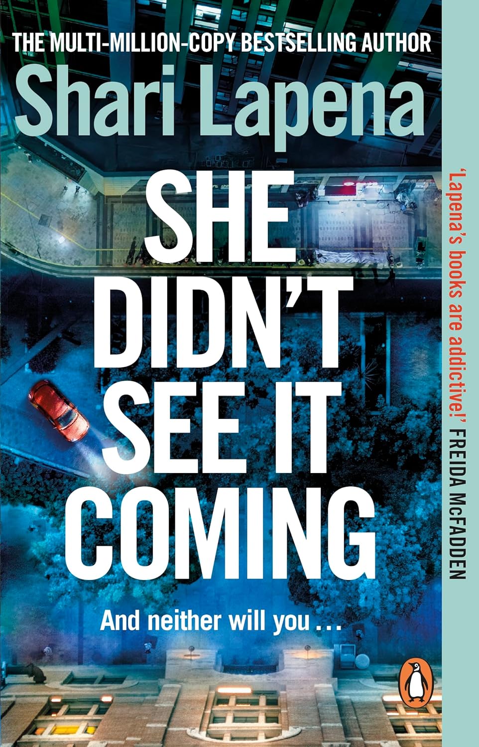 She Didn't see it Coming - Shari Lapena